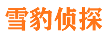 江南找人公司